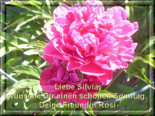 An den Beitrag angehängtes Bild: https://s20.directupload.net/images/user/210530/uyht38qs.png