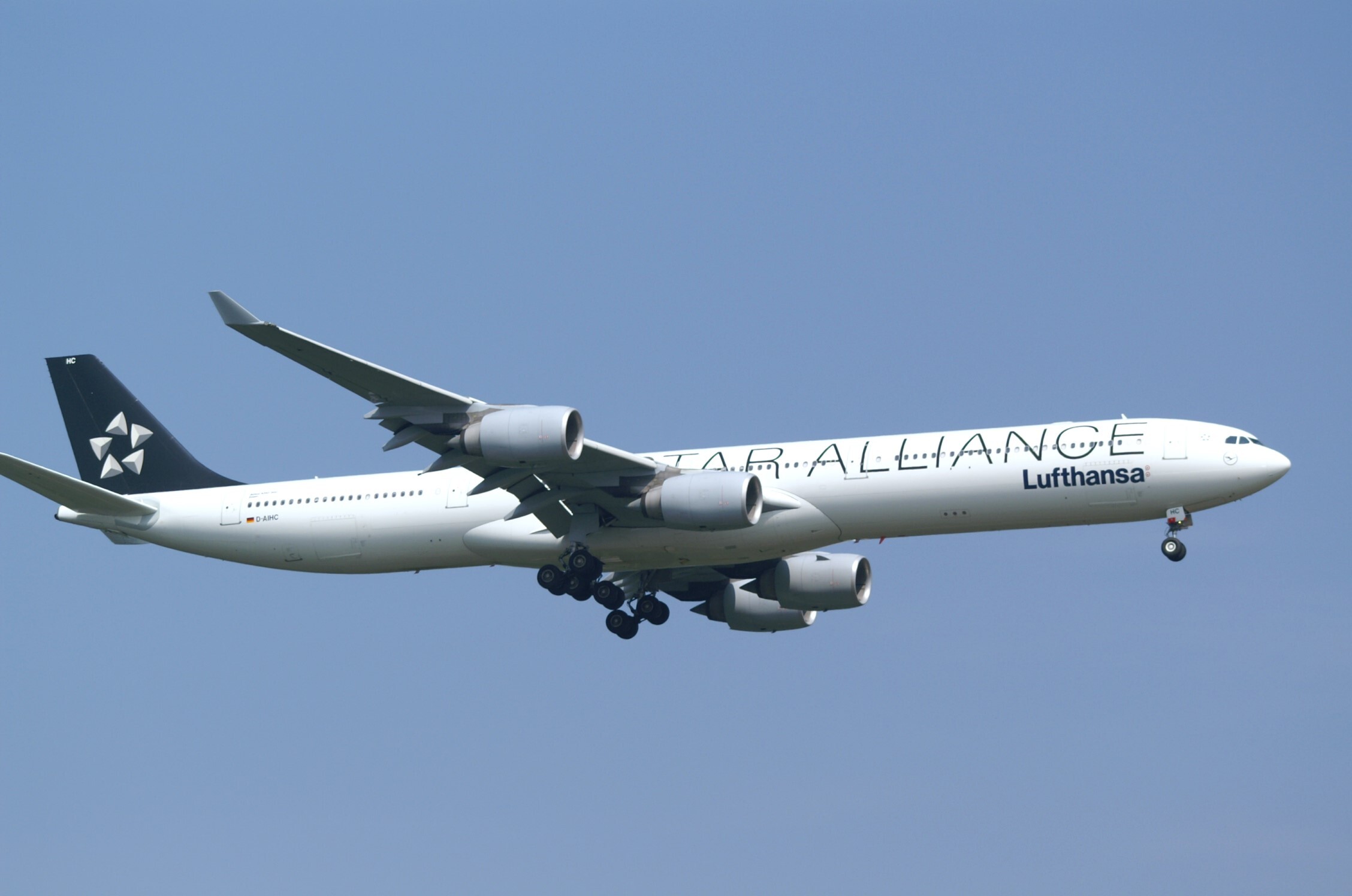 Lufthansa (Deutschland), D-AIHC  "Star Alliance Colours"