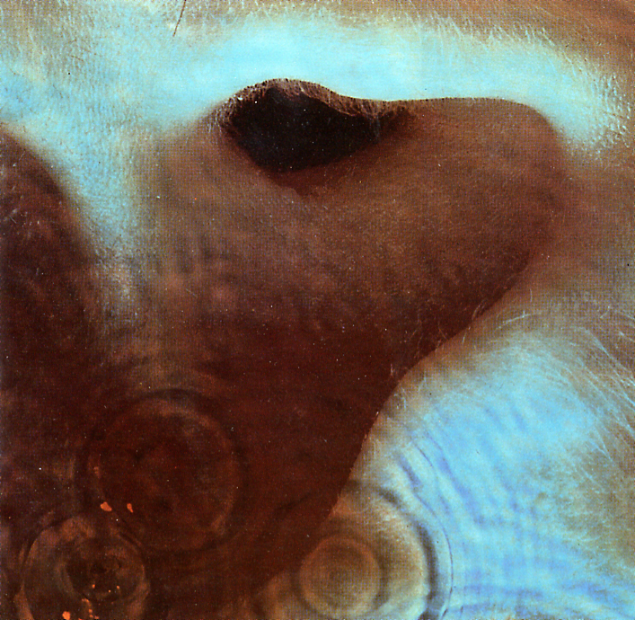 Pink Floyd - 1971 - Meddle