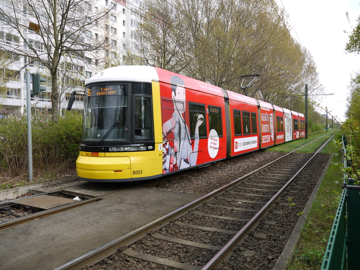 8003, M5, Hst. Zingster Straße