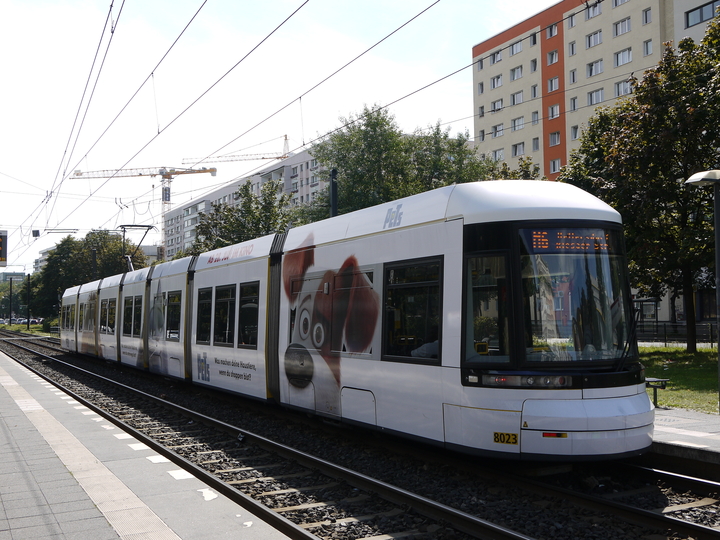 8023, M6, Hst. Mollstraße/Prenzlauer Allee