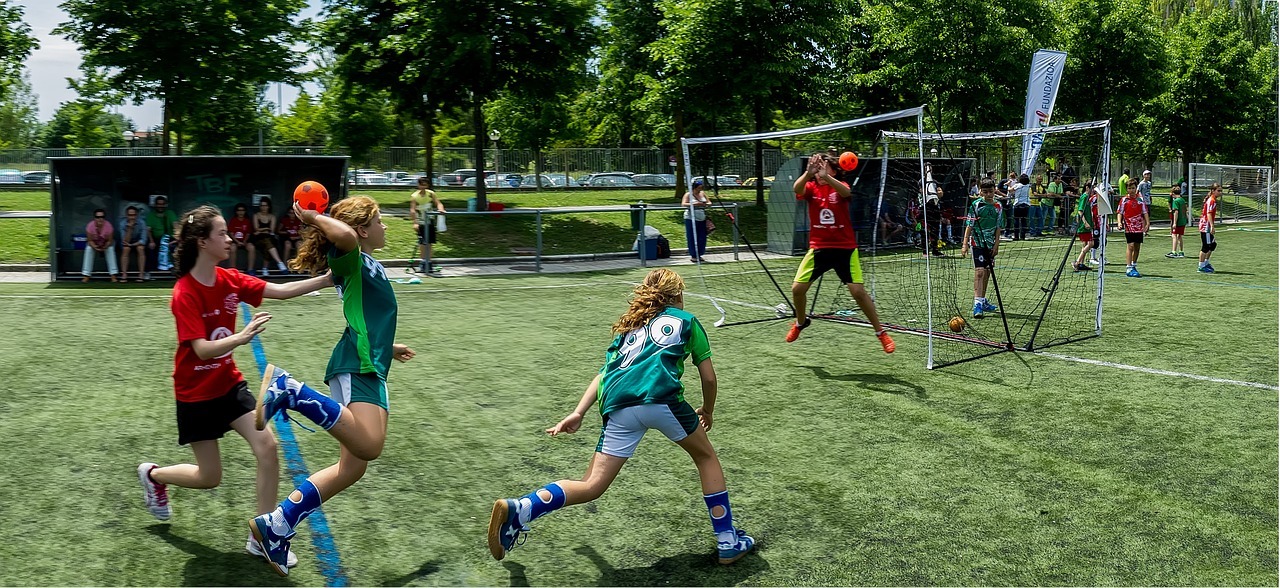 Handball, Sport Mannheim, Profi Sport