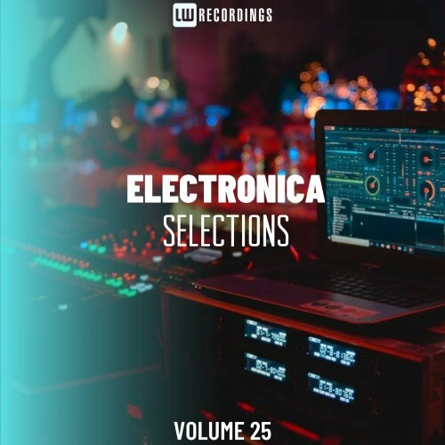  Electronica Selections, Vol. 25 (2024) 