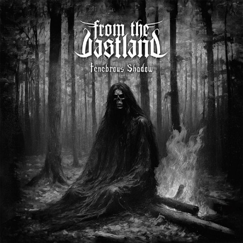  From the Vastland - Tenebrous Shadow (2024) 