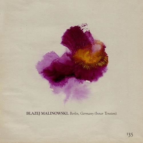  Blazej Malinowski - The Memoir Page 135 (2024-12-11) 