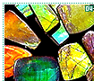 ammolite04