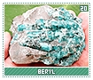 beryl20