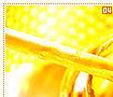 honey04
