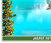 jaspernationalpark16
