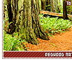 redwoodnationalpark16