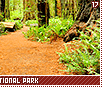 redwoodnationalpark17