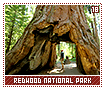 redwoodnationalpark18