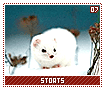 stoats07