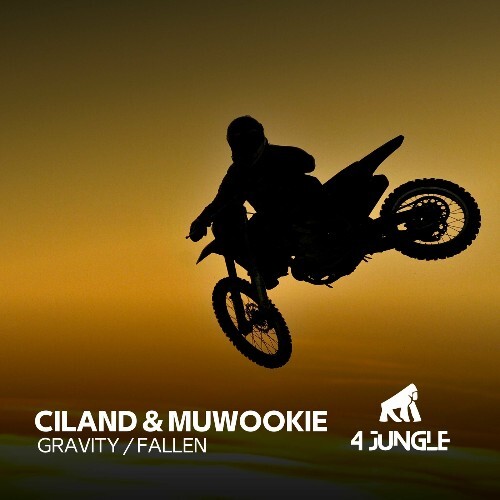  Ciland & Muwookie - Gravity / Fallen (2025) 