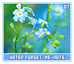 waterforgetmenots07